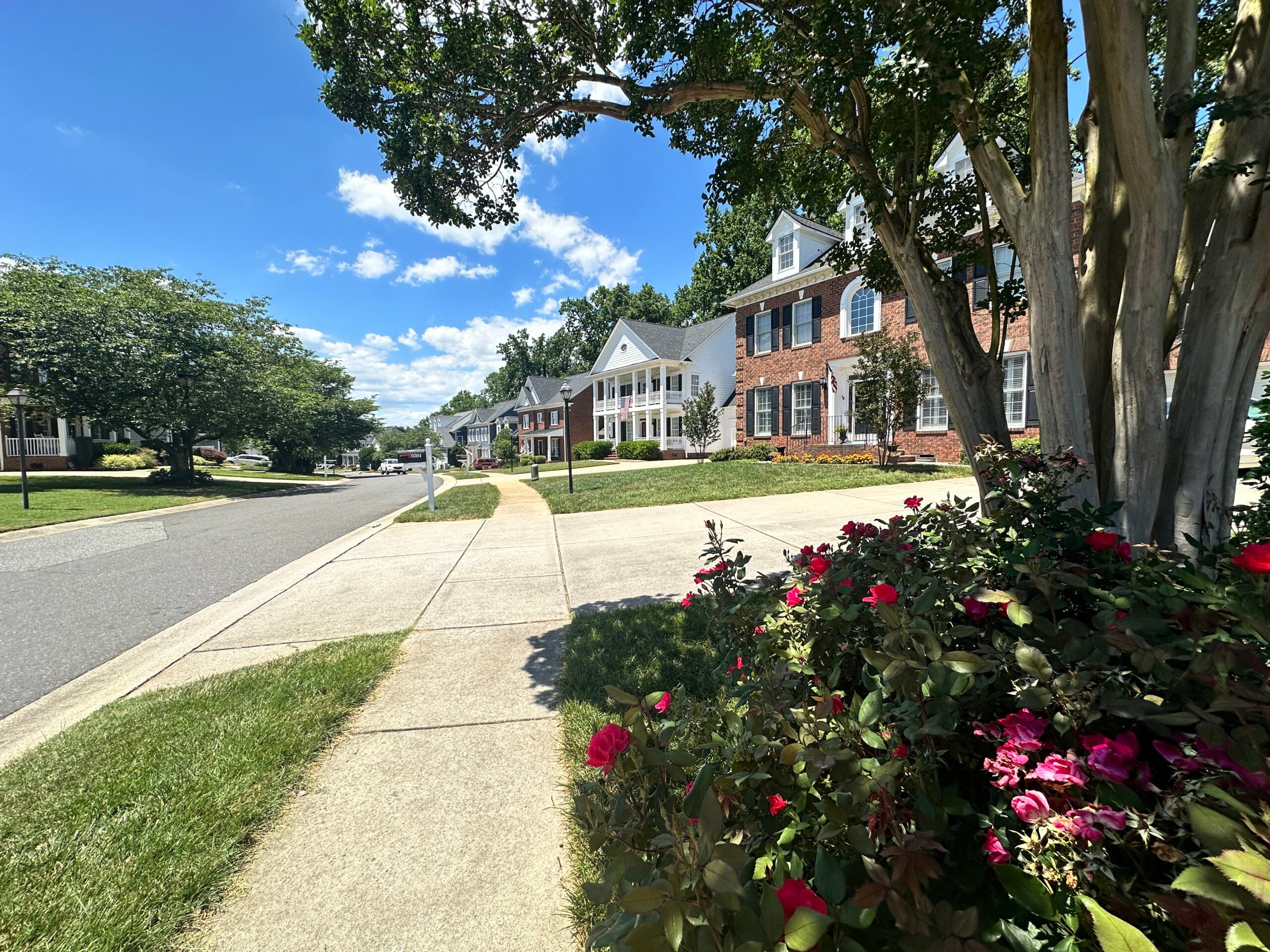 Tree-lined street with sidewalks and homes in Jetton Cove, Cornelius, North Carolina